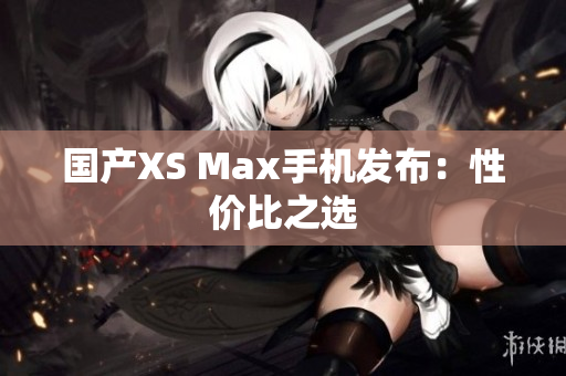 国产XS Max手机发布：性价比之选