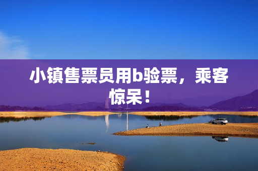 小镇售票员用b验票，乘客惊呆！