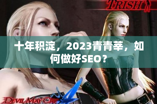 十年积淀，2023青青莘，如何做好SEO？