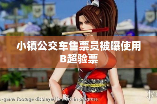 小镇公交车售票员被曝使用B超验票