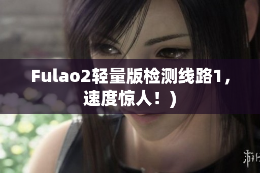 Fulao2轻量版检测线路1，速度惊人！)