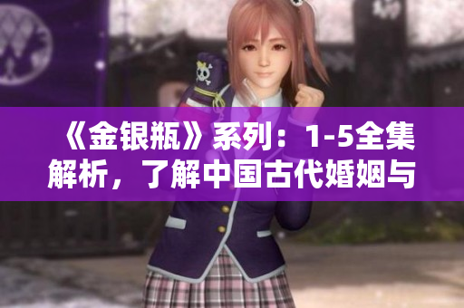 《金银瓶》系列：1-5全集解析，了解中国古代婚姻与社会风俗