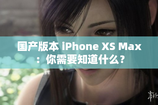 国产版本 iPhone XS Max：你需要知道什么？