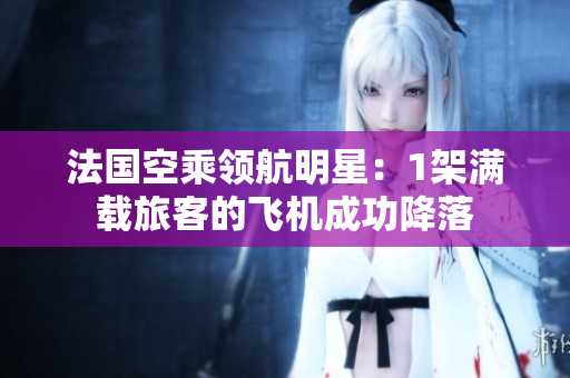 法国空乘领航明星：1架满载旅客的飞机成功降落