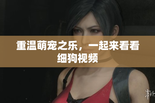 重温萌宠之乐，一起来看看细狗视频