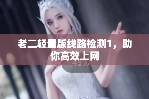 老二轻量版线路检测1，助你高效上网