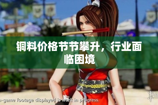 铜料价格节节攀升，行业面临困境