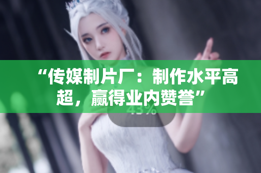 “传媒制片厂：制作水平高超，赢得业内赞誉”