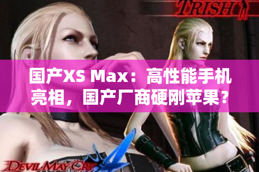 国产XS Max：高性能手机亮相，国产厂商硬刚苹果？