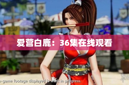 爱营白鹿：36集在线观看