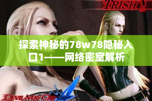 探索神秘的78w78隐秘入口1——网络密室解析