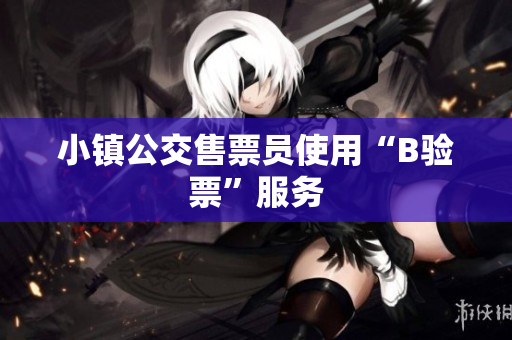 小镇公交售票员使用“B验票”服务