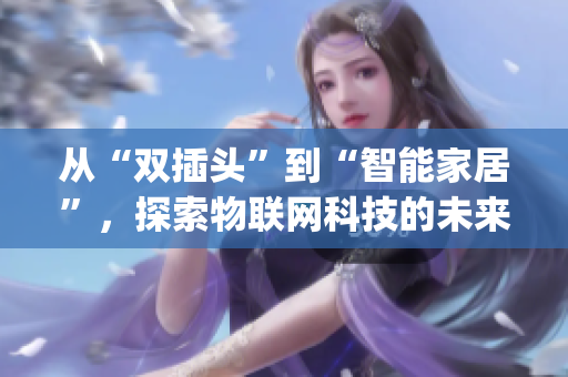 从“双插头”到“智能家居”，探索物联网科技的未来)