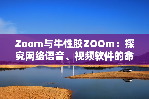 Zoom与牛性胶ZOOm：探究网络语音、视频软件的命名巧思