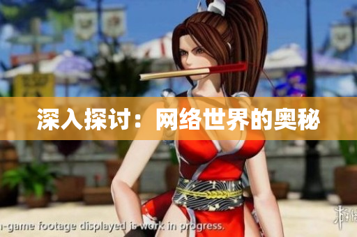 深入探讨：网络世界的奥秘