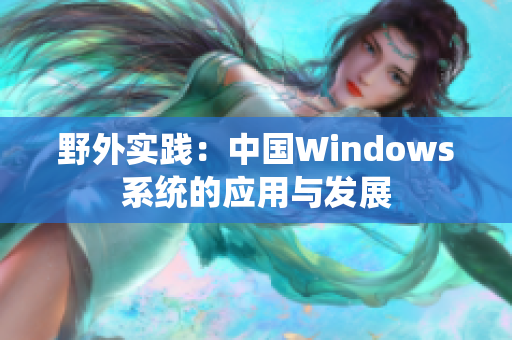 野外实践：中国Windows系统的应用与发展