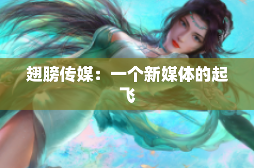 翅膀传媒：一个新媒体的起飞