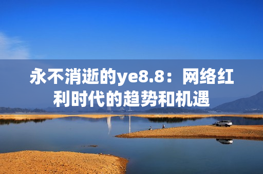 永不消逝的ye8.8：网络红利时代的趋势和机遇