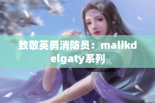 致敬英勇消防员：malikdelgaty系列