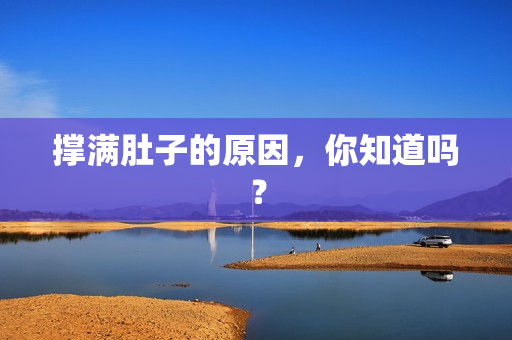 撑满肚子的原因，你知道吗？