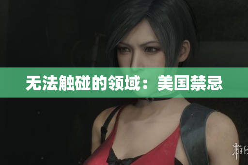 无法触碰的领域：美国禁忌