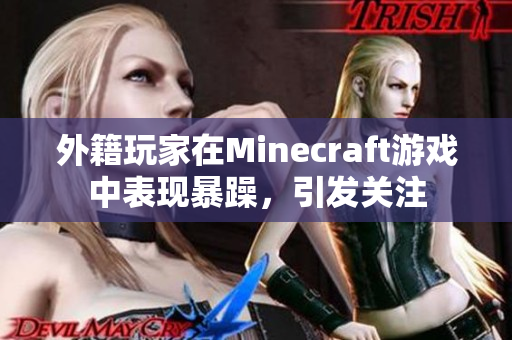 外籍玩家在Minecraft游戏中表现暴躁，引发关注