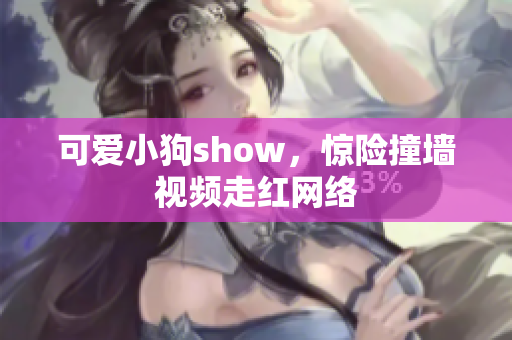 可爱小狗show，惊险撞墙视频走红网络