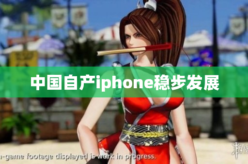 中国自产iphone稳步发展