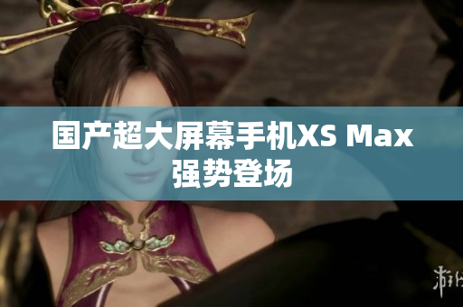 国产超大屏幕手机XS Max强势登场