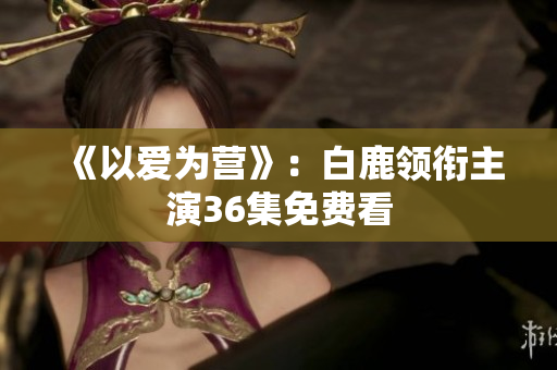 《以爱为营》：白鹿领衔主演36集免费看