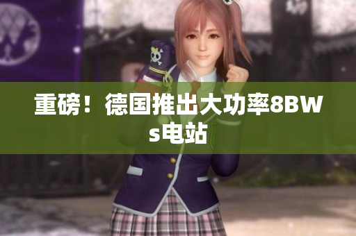 重磅！德国推出大功率8BWs电站