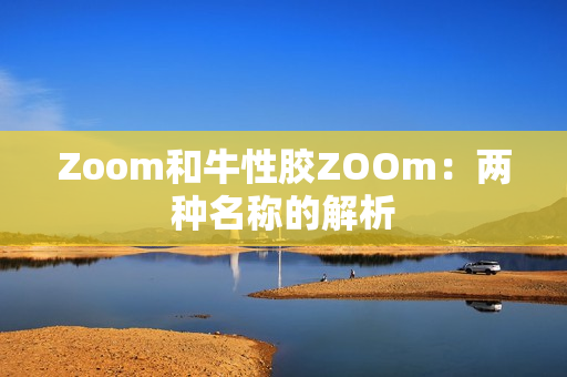 Zoom和牛性胶ZOOm：两种名称的解析