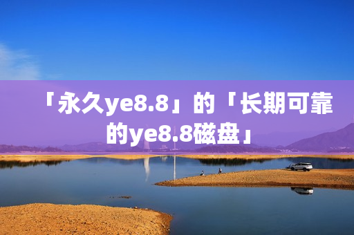 「永久ye8.8」的「长期可靠的ye8.8磁盘」