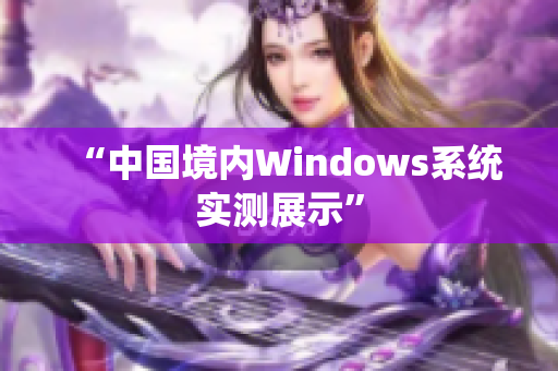 “中国境内Windows系统实测展示”