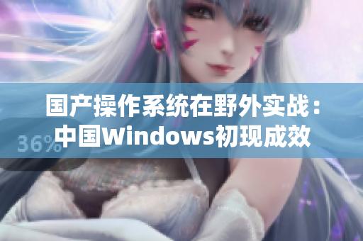 国产操作系统在野外实战：中国Windows初现成效