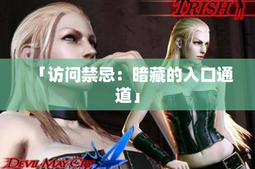 「访问禁忌：暗藏的入口通道」