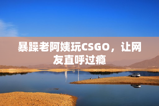 暴躁老阿姨玩CSGO，让网友直呼过瘾