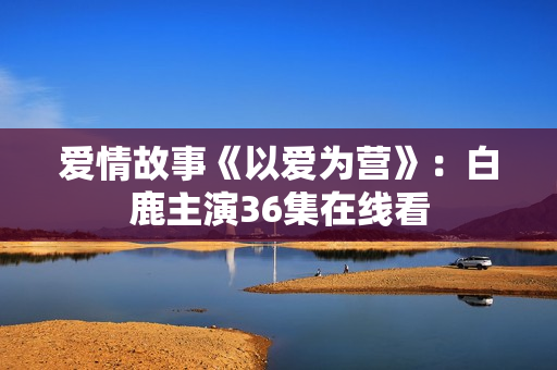 爱情故事《以爱为营》：白鹿主演36集在线看
