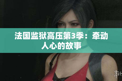法国监狱高压第3季：牵动人心的故事