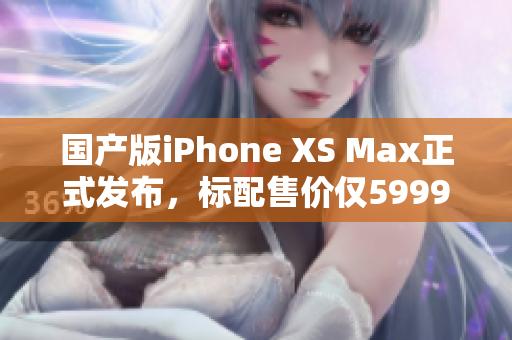 国产版iPhone XS Max正式发布，标配售价仅5999元