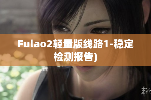Fulao2轻量版线路1-稳定检测报告)