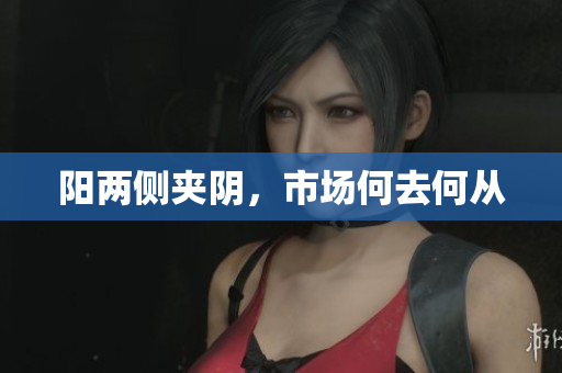 阳两侧夹阴，市场何去何从