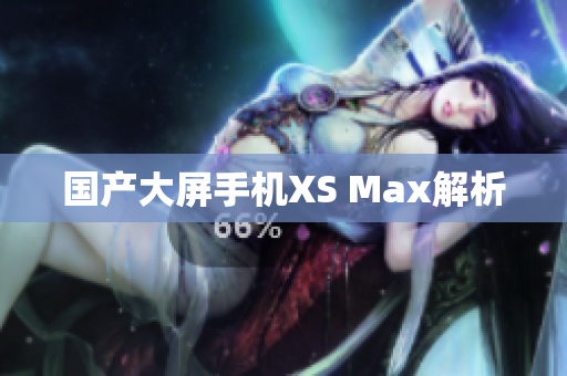 国产大屏手机XS Max解析