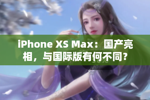 iPhone XS Max：国产亮相，与国际版有何不同？