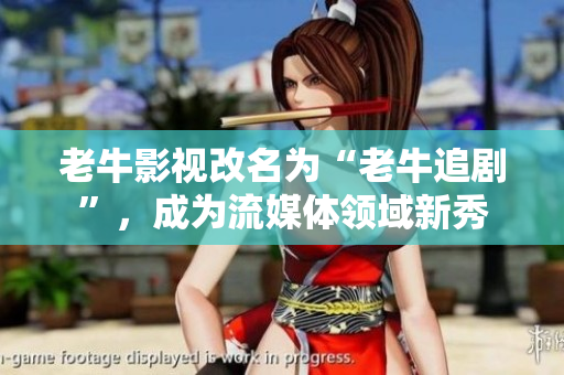 老牛影视改名为“老牛追剧”，成为流媒体领域新秀