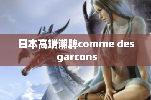 日本高端潮牌comme des garcons