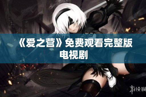 《爱之营》免费观看完整版电视剧