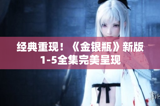 经典重现！《金银瓶》新版1-5全集完美呈现