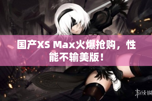 国产XS Max火爆抢购，性能不输美版！