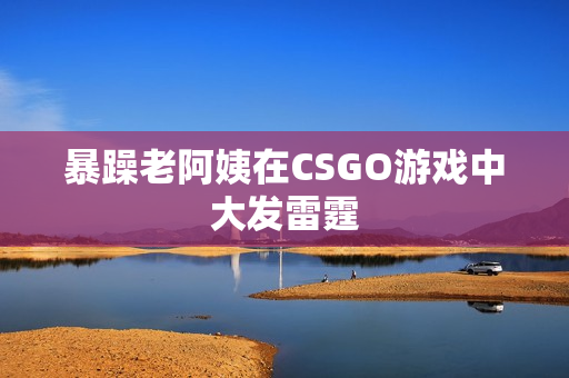 暴躁老阿姨在CSGO游戏中大发雷霆